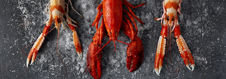 Mariscos en Congelados La Gamba